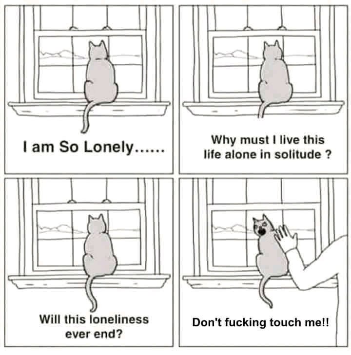y_so_seiurus's tweet photo. #Introvertsoul😄 https://t.co/76k6XTlH7k