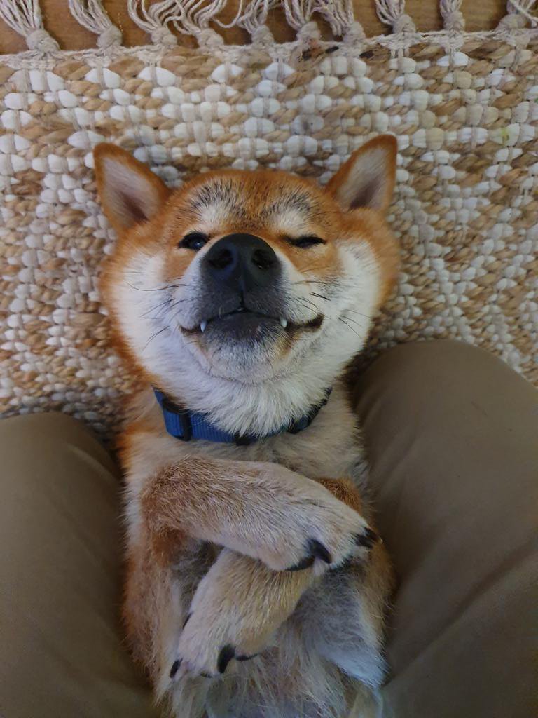 Bayliun_Plays's tweet photo. I call this look... the sleeping vampire https://t.co/98W6xQH2EQ