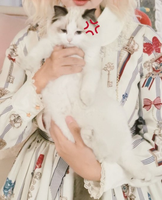 Twitterのコスプレ画像68