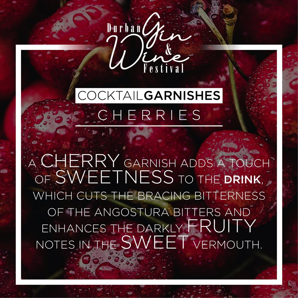 Durban Gin And Wine Festival tweet media