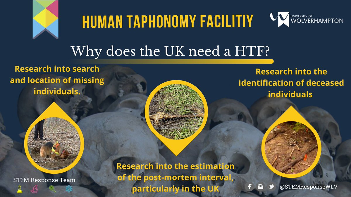 STEM Response Team - University of Wolverhampton tweet media