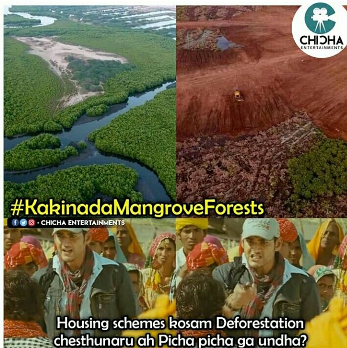 Bharathkittu2's tweet photo. #kakinadamangroveforests
A.p govt decided to deforestation in kakinada #mada forests @EnvAgency @JanaSenaParty @JanaSenaParty 
#mananudimadabadi program https://t.co/kXpXiOnQ2y