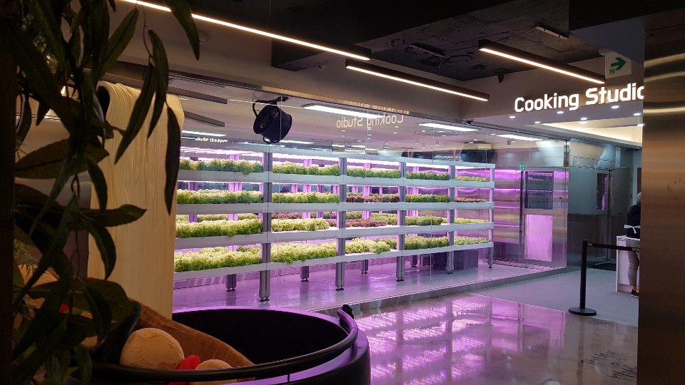 sananbio's tweet photo. Mr. Kim, #Radix's endorser from South Korea, has been working w/ Seoul government to operate several metro farms. The fresh produces are consumed in a cafe as salad or juice ingredients. Mr. Kim is now looking at its farms for ingredients for cosmetics &amp; drugs. #Letsgrowtogether https://t.co/Yi3zfXXGUi