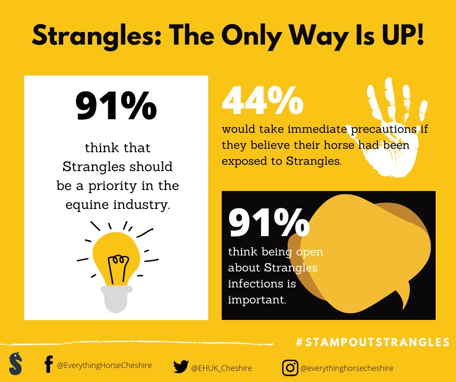 EHUK_Cheshire's tweet image. The only way is UP this Strangles Awareness Week! 🦠 #SAW2020 #TogetherWeCan #StampOutStrangles

Find out more about the highlight week and how to pledge your support here &amp;gt;&amp;gt; ow.ly/2x2x50zuR1V