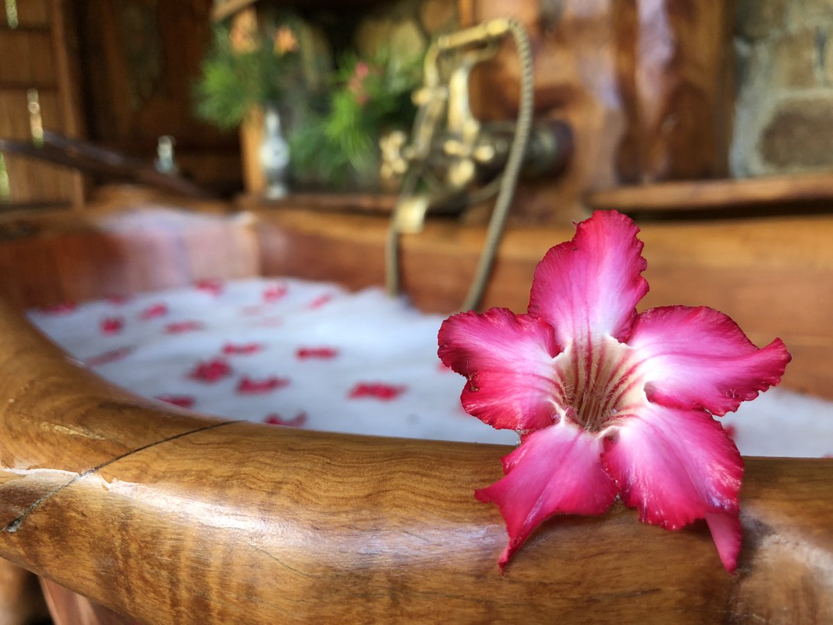 desertroselodge's tweet photo. Happiness is a long hot bubble bath, with the right view and set up, giving a wonderful combination of isolation, quiet and comfort.😍😌 #ecolodge #onlyindesertroselodge #bubblebaths #relaxinnature #honeymoondestination #tembeakenya https://t.co/GgTw5KHVWu