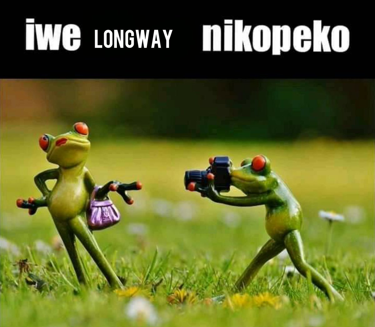 HonestyLongway's tweet photo. Ladies https://t.co/JP4msC5NjB