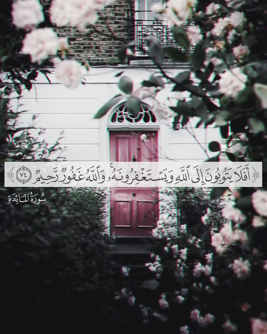 ﴿أَفَلا يَتوبونَ إِلَى اللَّهِ وَيَستَغفِرونَهُ وَاللَّهُ غَفورٌ رَحيمٌ﴾
[المائدة: ٧٤]