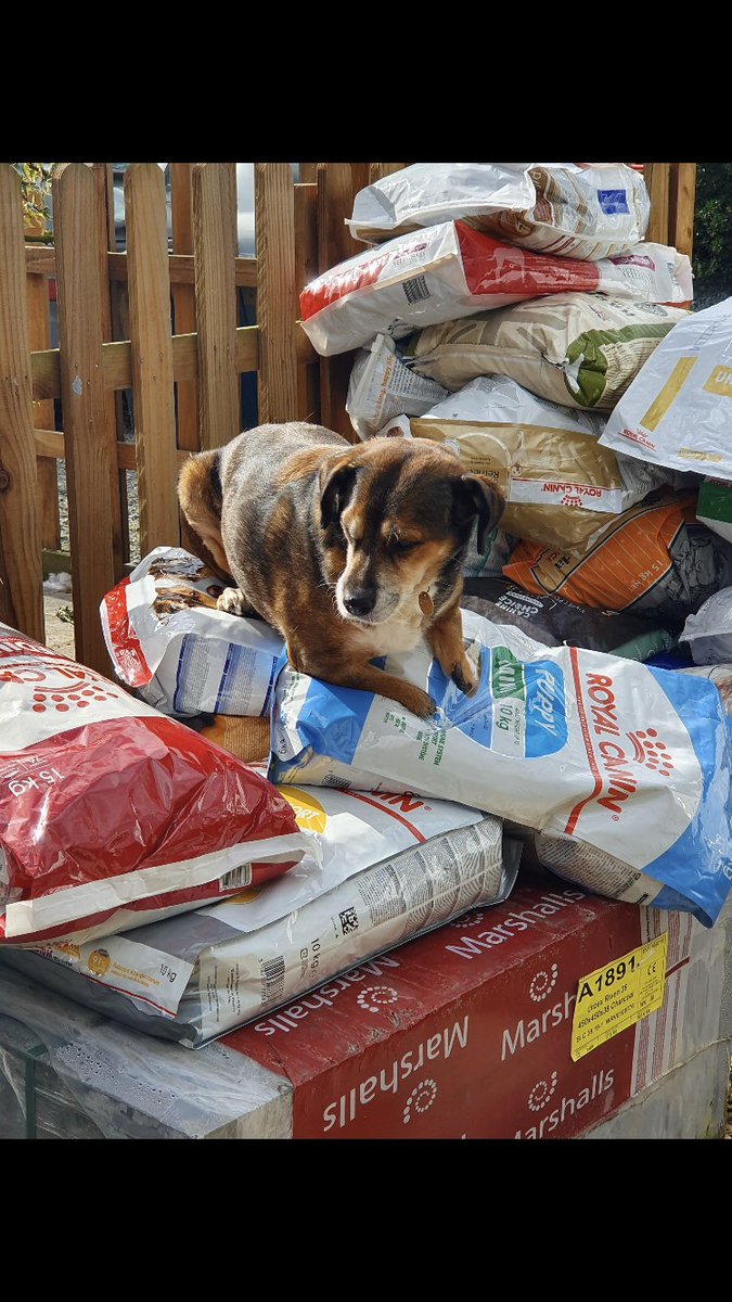 MedicAnimal Ltd tweet media