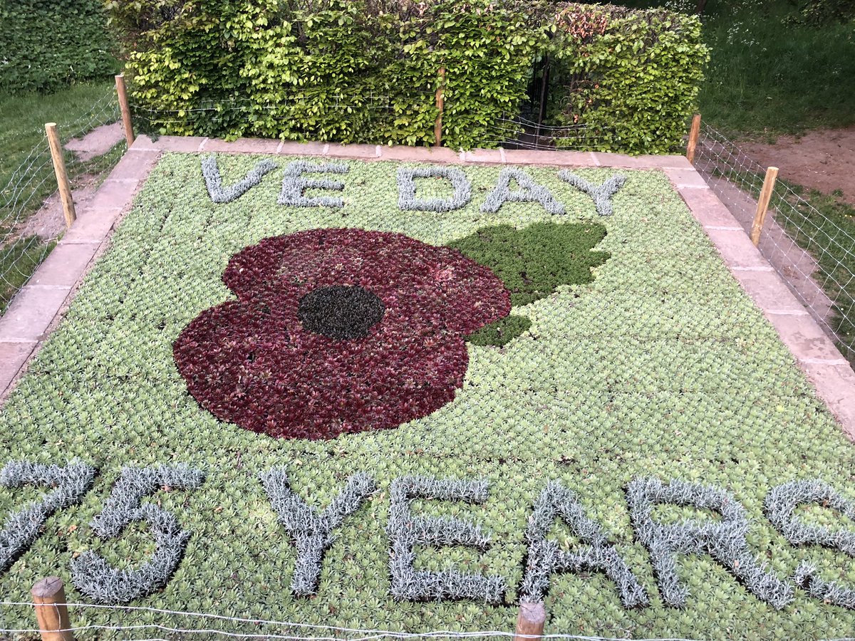 Richmond parks team have done themselves proud by making a picture out of tiny plants for us all to enjoy and remember.