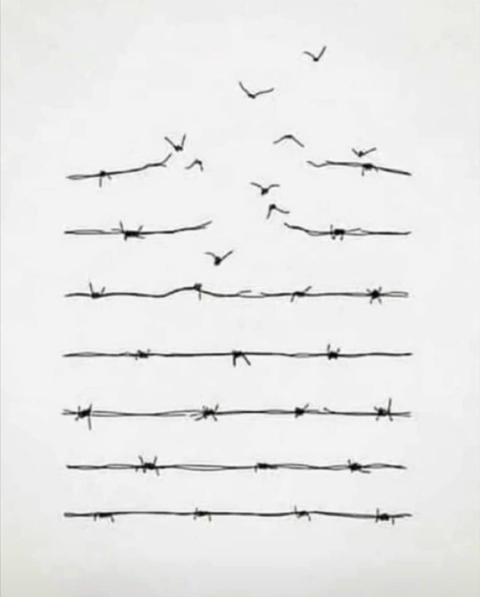 TheLincolnGin's tweet photo. Today marks the 75th anniversary of Victory in Europe Day (VE Day).

A time to both celebrate and remember those who gave so much for our freedom. 

Thank you. ❤️  #VE75 🇬🇧 https://t.co/jPF8u6j2Yy