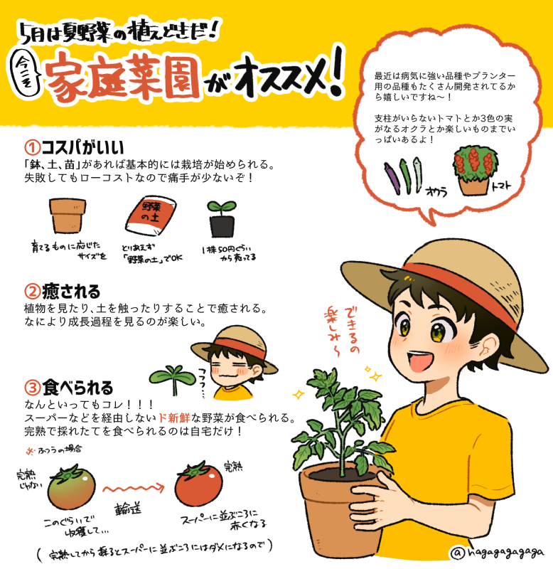5月!それは夏野菜を植える時期!
ということで家庭菜園のオススメです🍅
家庭菜園は趣味としてはコスパがよくて、なにより食べる喜びがあるのが楽しいぞ!
