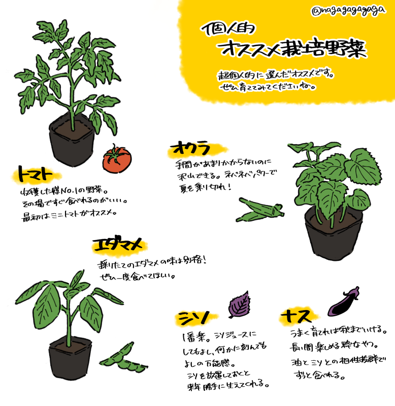 5月!それは夏野菜を植える時期!
ということで家庭菜園のオススメです🍅
家庭菜園は趣味としてはコスパがよくて、なにより食べる喜びがあるのが楽しいぞ!