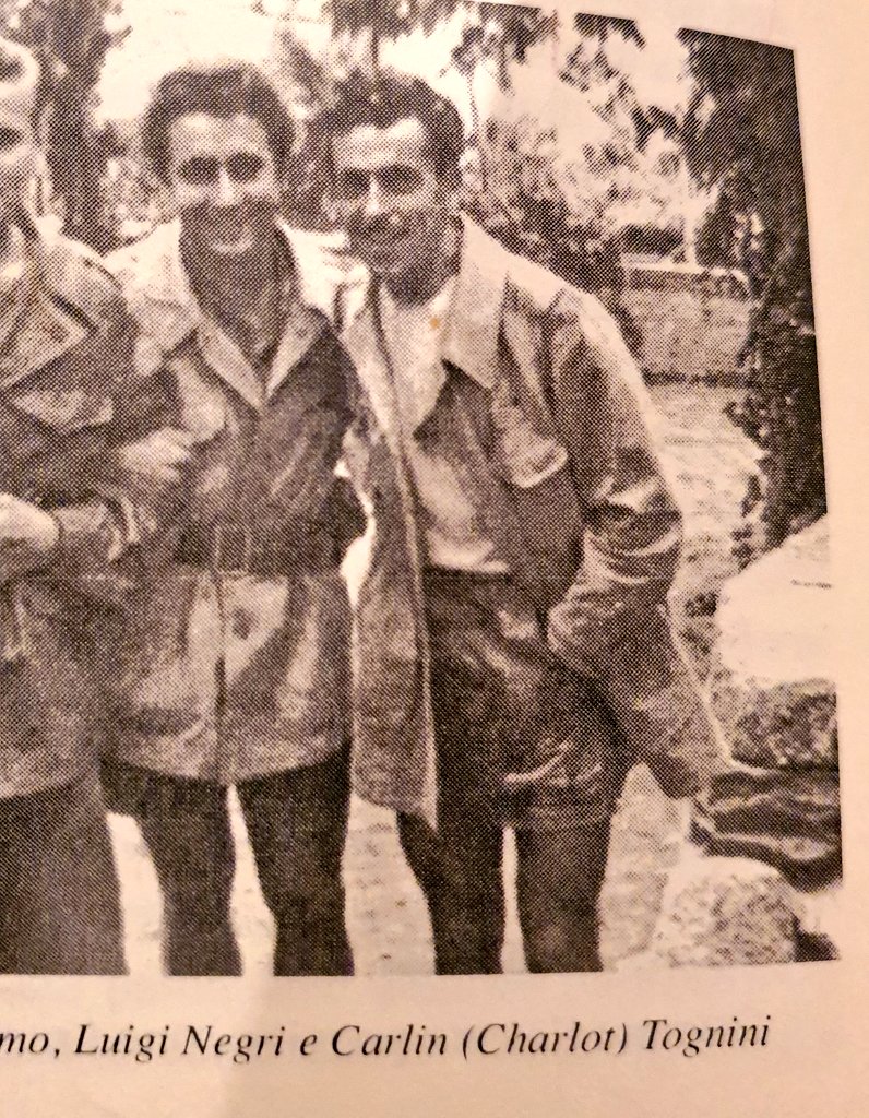 GemmaTognini tweet media