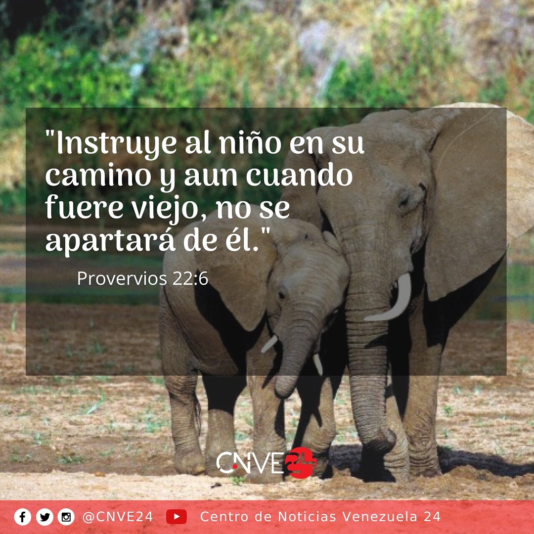 Cnve_24's tweet photo. #BuenosDias https://t.co/UMb3ZLwFRk