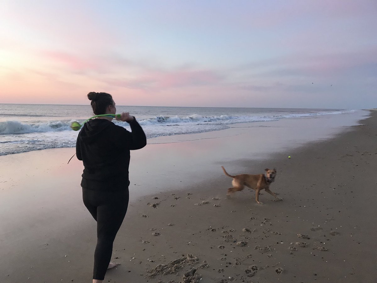 PEwithMsO's tweet photo. No better way to start @OPENPhysEd’s #NationalFieldDay then a sunrise warm up with the pup!
 #TQTweet #GetMoving #PEwithMsO https://t.co/JC3dTkhmdk