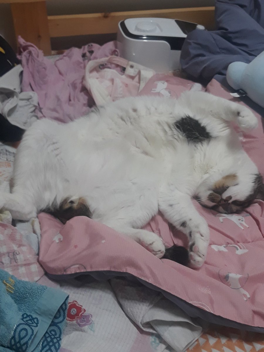 왜 그러고 누워있엌ㅋㅋㅋㅋㅋㅋ개구리같아