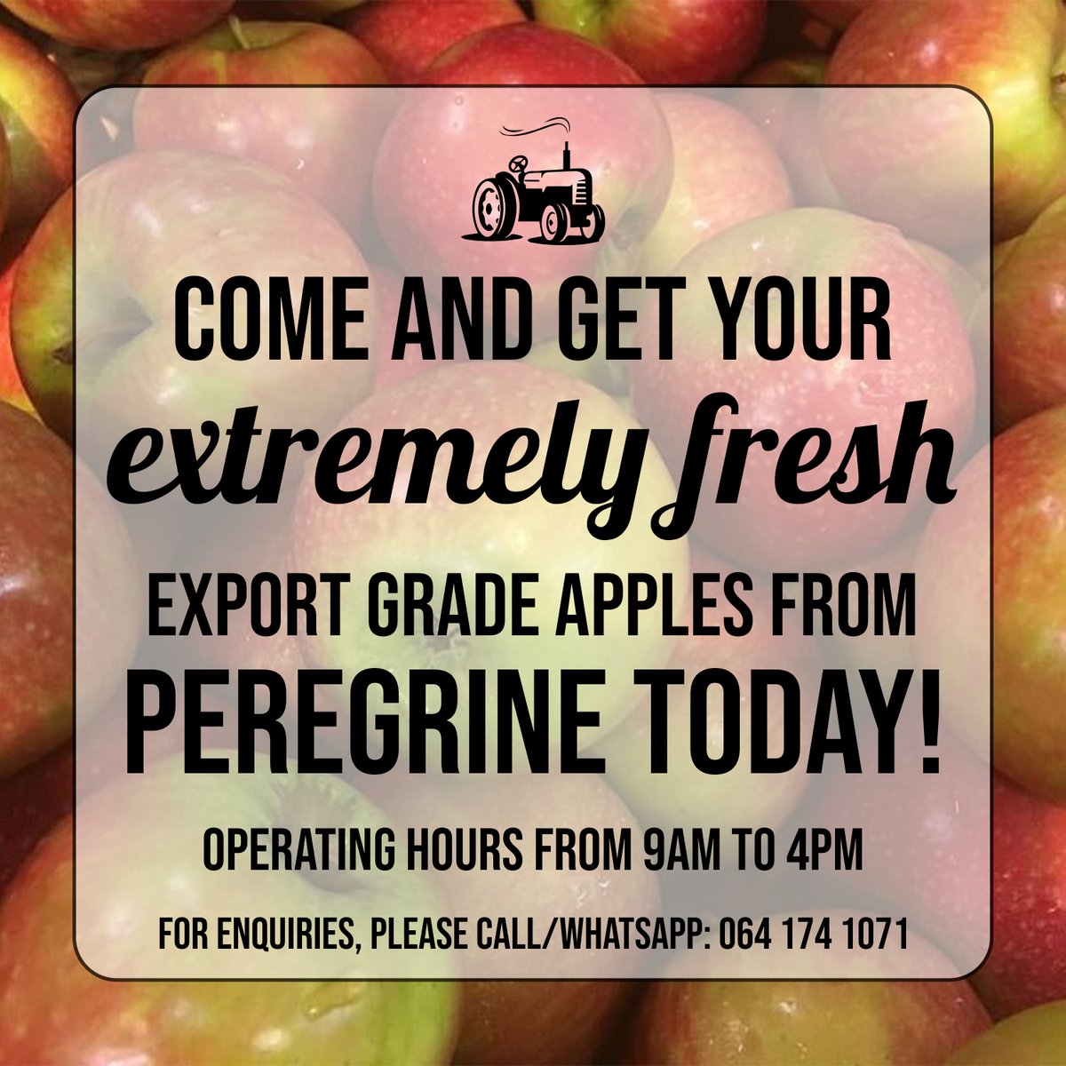 Thanks to an age-old partnership with Kromco, one of SA's biggest apple exporters, we manage to sell the juiciest, crunchiest and tastiest apples, otherwise destined for European shores. So pop in and grab a few!