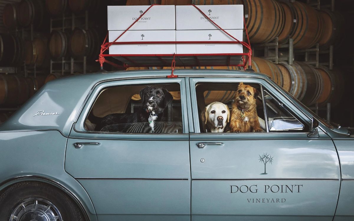 The great Dog Point Vineyards praised by Jancis. Check out our latest promotion on their whole range- mailchi.mp/022809fd603a/d…