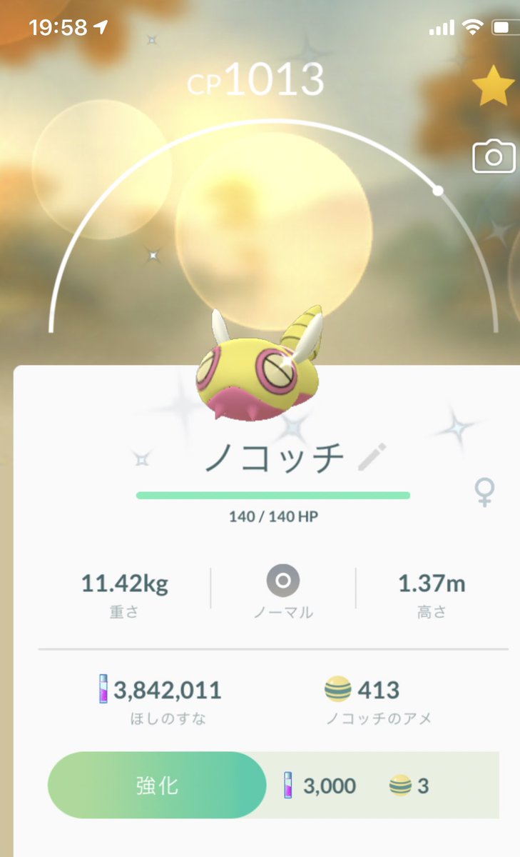 ノコッチ Twitter Search