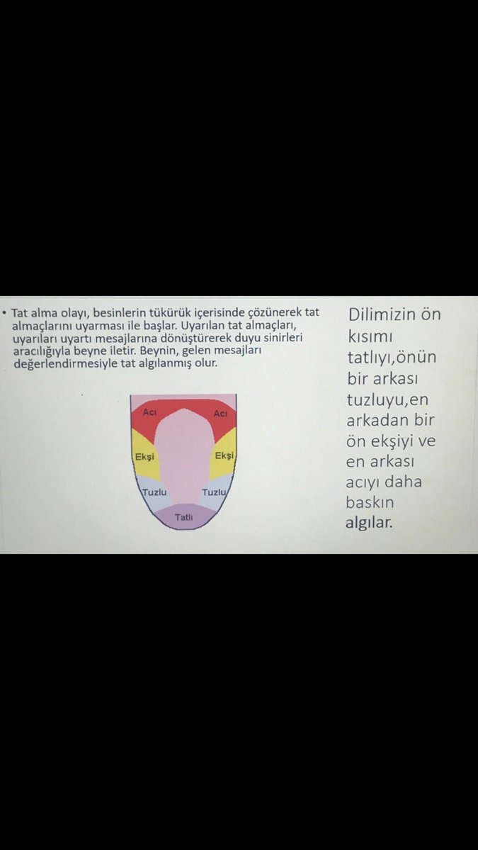 SelenDizdaroglu's tweet photo. Doğam evimde # Duyu Organlarımız # Çamlıca Doğa 6. Sınıf etkinlik Dil😋😛😝😜👅
@serozeren @AliRizaLule @mehmetkaracaitu @polatcenker @SerkanDemirDoga @eg_eylem @mftufekci @camlicadogaorta https://t.co/vVHUeq055N