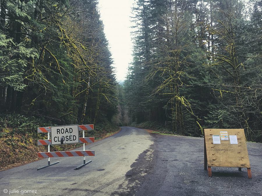 naturechronicle's tweet photo. pandemic blues
tranquil trails and rivers
access denied
#haiku #covid19 #MtHoodNF #iphoneography https://t.co/0DMkkOSLhN