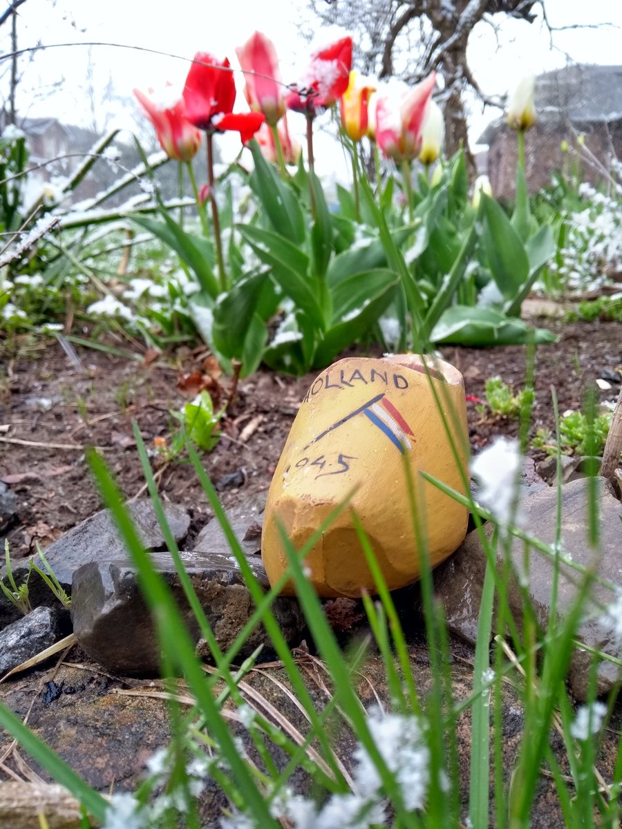 L_Gouin's tweet photo. @CanWarMuseum My dutch Oma and Opa were in the Netherlands during the war, and after living in a few other places settled in Canada. 
The provenance of this little wooden shoe is unclear, but it belonged to my great grandmother. #Liberation75 #netherlands75 https://t.co/iYiJ2NtxG6