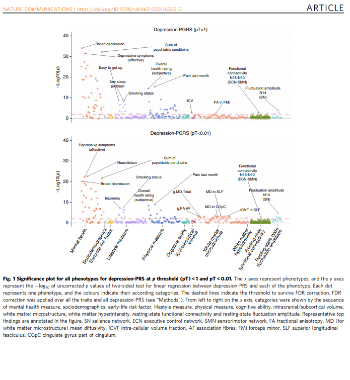 New research looks at the relationships between genetic risk for #depression and various traits &amp; the brain using <a href="/uk_biobank/">UK Biobank</a>

For me, the most interesting finding is the causal effect of genetic risk for depression on white matter microstructure ☹️➡️🧠

doi.org/10.1038/s41467…
