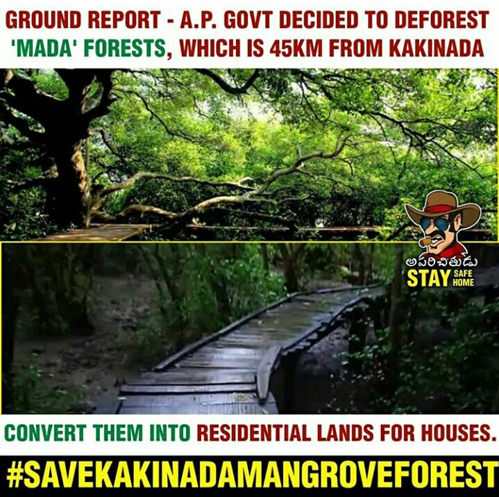 Bharathkittu2's tweet photo. #JSPWeekEndTrends
#savekakinadamangroveforest 
A.p govt decided to deforestrate the mada forests and convert land house scheme on this place more that 1lak people 125birdspecies,35plantspecies please raise @PawanKalyan @JanaSenaParty @bolisetti_satya Garu https://t.co/7z5FXGu0JD