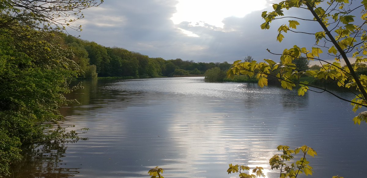 Getting the minutes in the legs today. 10K run with a rest to capture this. Beauty still exists. Even in the middle of a pandemic! Stay Safe!