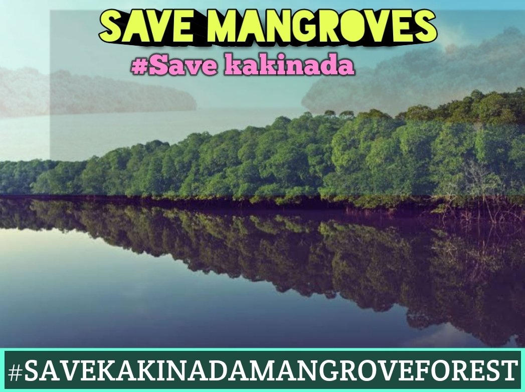 Bharathkittu2's tweet photo. #JSPWeekEndTrends
#savekakinadamangroveforest 
A.p govt decided to deforestrate the mada forests and convert land house scheme on this place more that 1lak people 125birdspecies,35plantspecies please raise @PawanKalyan @JanaSenaParty @bolisetti_satya Garu https://t.co/7z5FXGu0JD