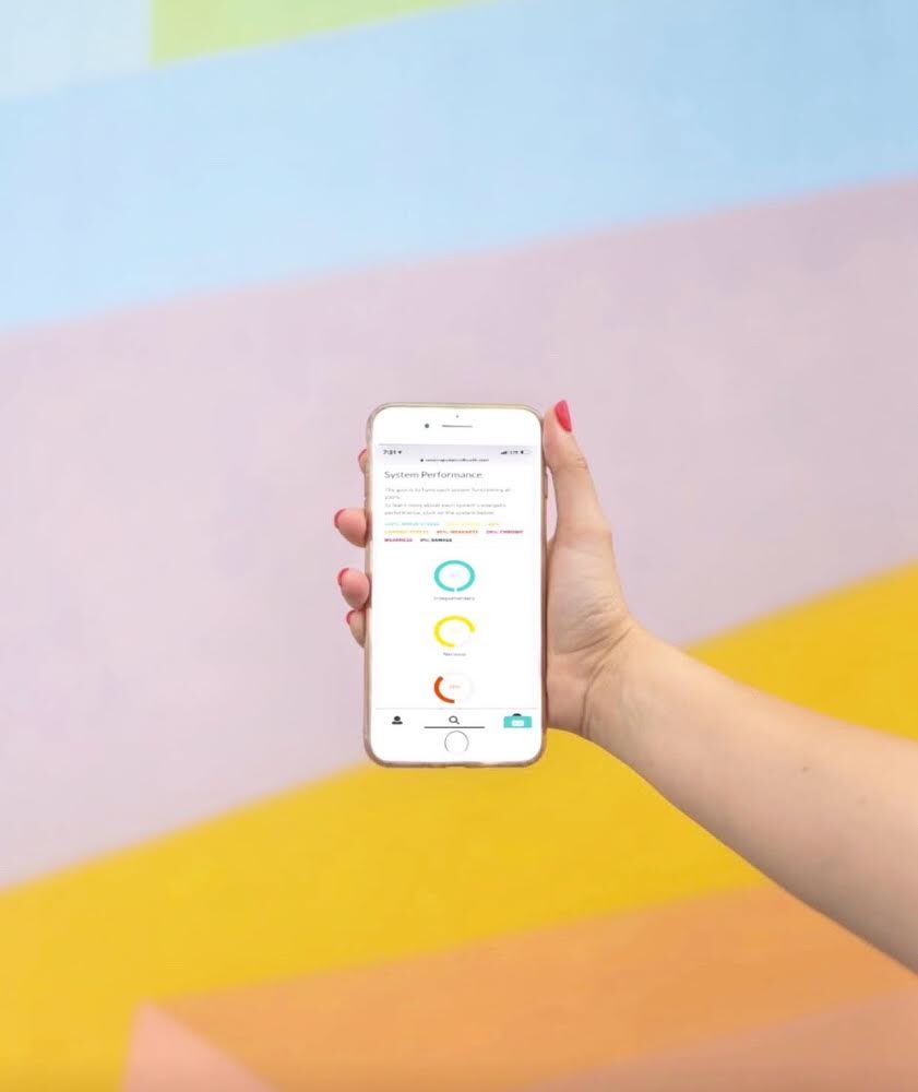 petmedella's tweet photo. Easily access you pet’s results from any device! We provide a report detailing the complete bioenergetic findings of the whole body scan, sensitivities, resonating toxins, and what hormonal and nutritional imbalances were found. Check out the Full Scan at https://t.co/qto8PYnvql https://t.co/EMWoVSBb6k