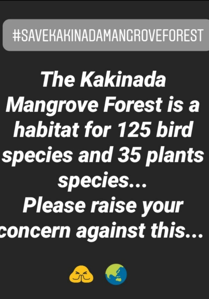 Bharathkittu2's tweet photo. #JSPWeekEndTrends
#savekakinadamangroveforest 
A.p govt decided to deforestrate the mada forests and convert land house scheme on this place more that 1lak people 125birdspecies,35plantspecies please raise @PawanKalyan @JanaSenaParty @bolisetti_satya Garu https://t.co/7z5FXGu0JD