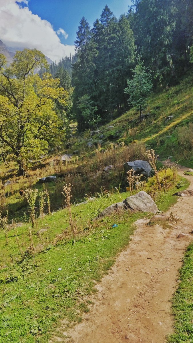 abhijeet_mahato's tweet photo. Trail...
#outdoors #tbt #himachalpradesh #travel #mountains #nature #landscape #oneplus #mobilephotography #ContentCreator #travelindia #airbnb #adventurefilm @OnePlus_IN #photography #indiapictures #bbcearthcapture #Himalayas @indiapicturesXL https://t.co/DefWyeVQO6