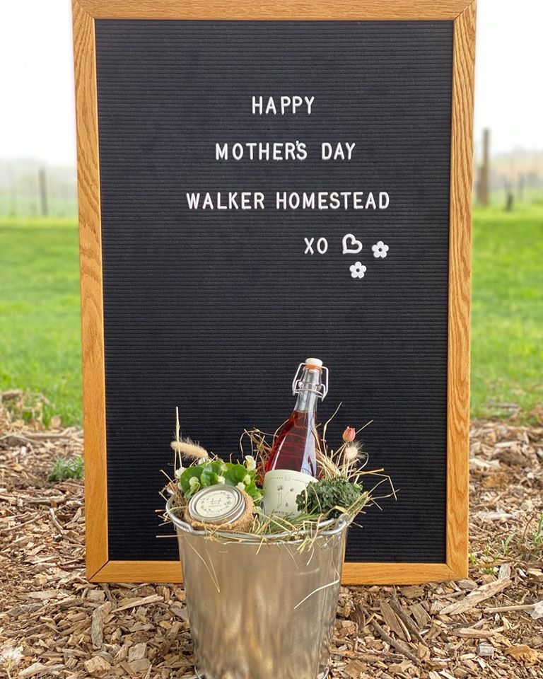 HeyProfBob's tweet photo. Last minute Mother's Day gift?  Check out our Mom's Day Bucket at https://t.co/NMmeSS0ZwQ https://t.co/wyfJAt7egx