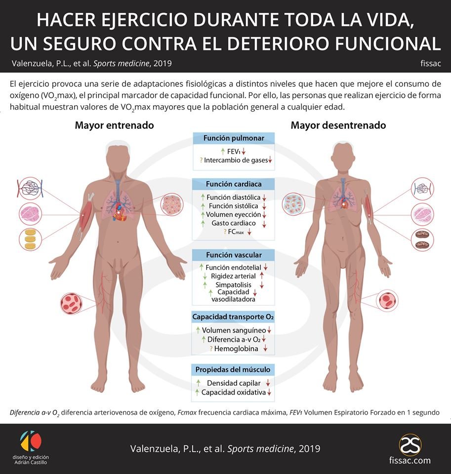 Fissac_es's tweet photo. 🔬Una revisión realizada por nuestro compañero Pedro L. Valenzuela en la revista Sports Medicine junto con investigadores como Maffiuletti, Joyner o Alejandro Lucía analiza los mecanismos por los cuales el ejercicio protege contra el declive propio de la edad. https://t.co/iMRr5jIVrU