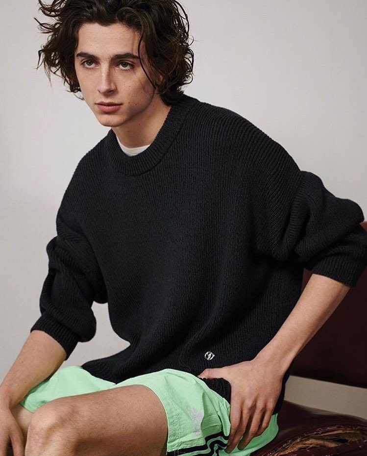 vantesuga_'s tweet photo. timothée chalamet in oversized sweaters rt if you agree https://t.co/FdoXVwC5Qe