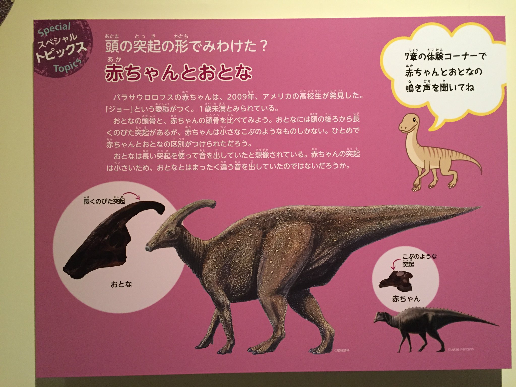 恐竜の頭 子供のためのシミュレートされた恐竜の頭のマスク,猛禽類,輝き