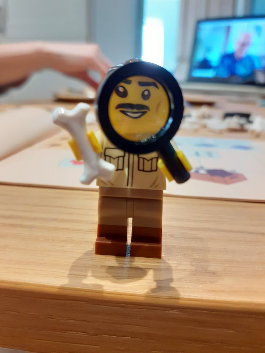 Emily Carlisle tweet media