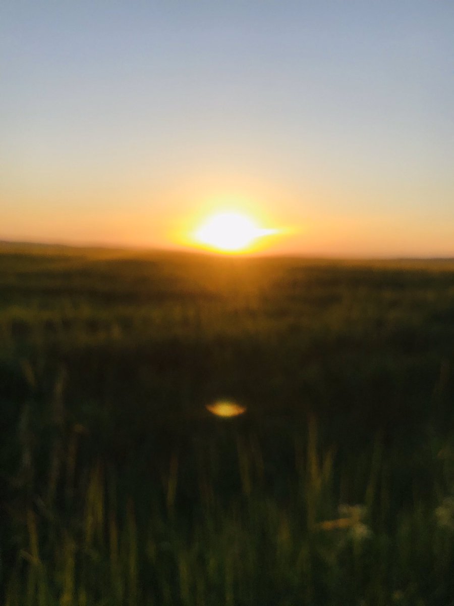 ibrahim halil şimşek (@halilsimsek77) on Twitter photo 