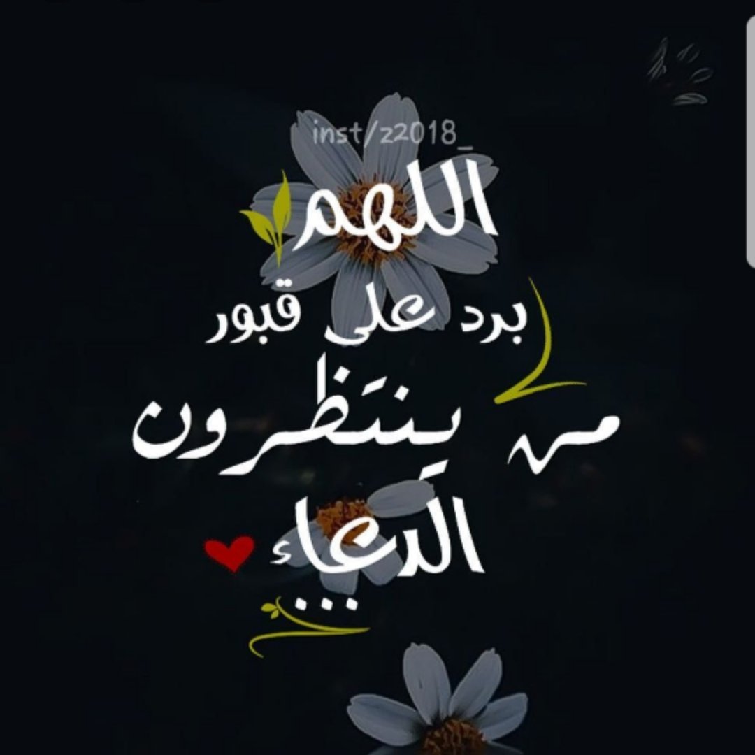 5SvkXYikwPKxduC's tweet photo. @saif_Alalwi2000 https://t.co/jYyFdsVWfX