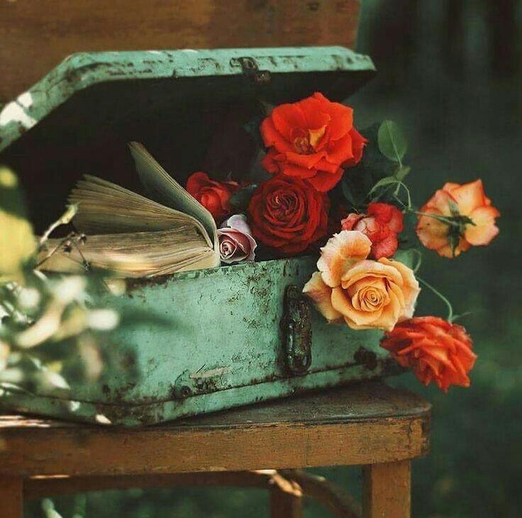 -الإهتمامْ يُخلقُ حبٍّ منْ العَدمْ
وإنعدامهِ يقتلُ أكبر حبْ

" - Değer vermek vâr olmayan sevgiyi bile vâr eder. Vermemek ise en büyük sevgiyi bile katleder.."