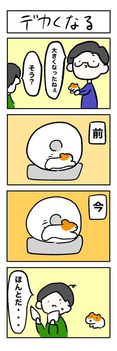 ハムスケコミック Hamu Comi Twitter