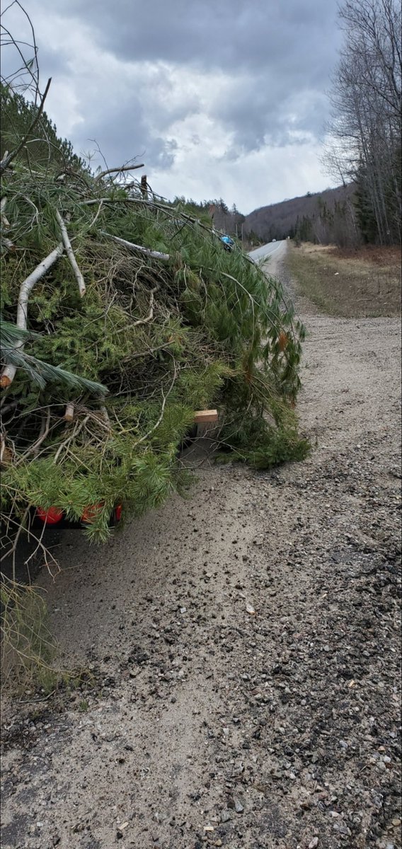 OPP_CR's tweet image. Spring cleaning...  this is not acceptable! #HvillOPP stopped this vehicle and trailer on Hwy 60. Look close you might see a yellow tie down strap. It&apos;s like trying to make one trip with all the groceries from the car to the house #taketwotrips #insecureload #notinOURtown ^do