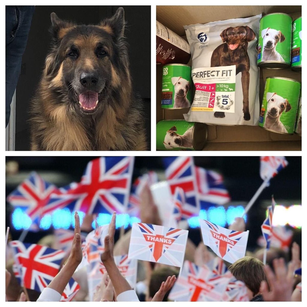 DREAMSAIMK's tweet photo. On this 75th VE day DREAMSAI are honoured to have supported few veterans of the British Armed Forces, their families and dependents for their remarkable services to the nation. Our special guest to have received his own hamper today is Dog Rig!
#VEDay75 #VEDay2020 #DreamSai https://t.co/f9MWR9EqyP