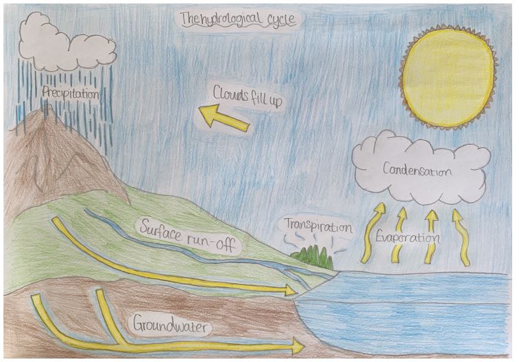 GeographyGHS's tweet photo. S1 have been learning about the #HydrologicalCycle and human impacts on it this week. Here are Cameron and Dylan's fab diagrams. #GeoArt #GeographersLoveColour #S1Geo #KS3Geo #LearnDuringLockdown #TopGeographers
#pedagoofriday https://t.co/aU0HRBsrp6