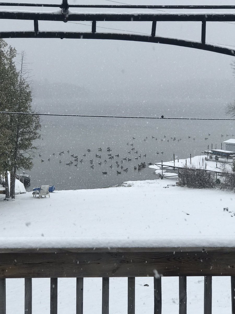 Mike Wright tweet media