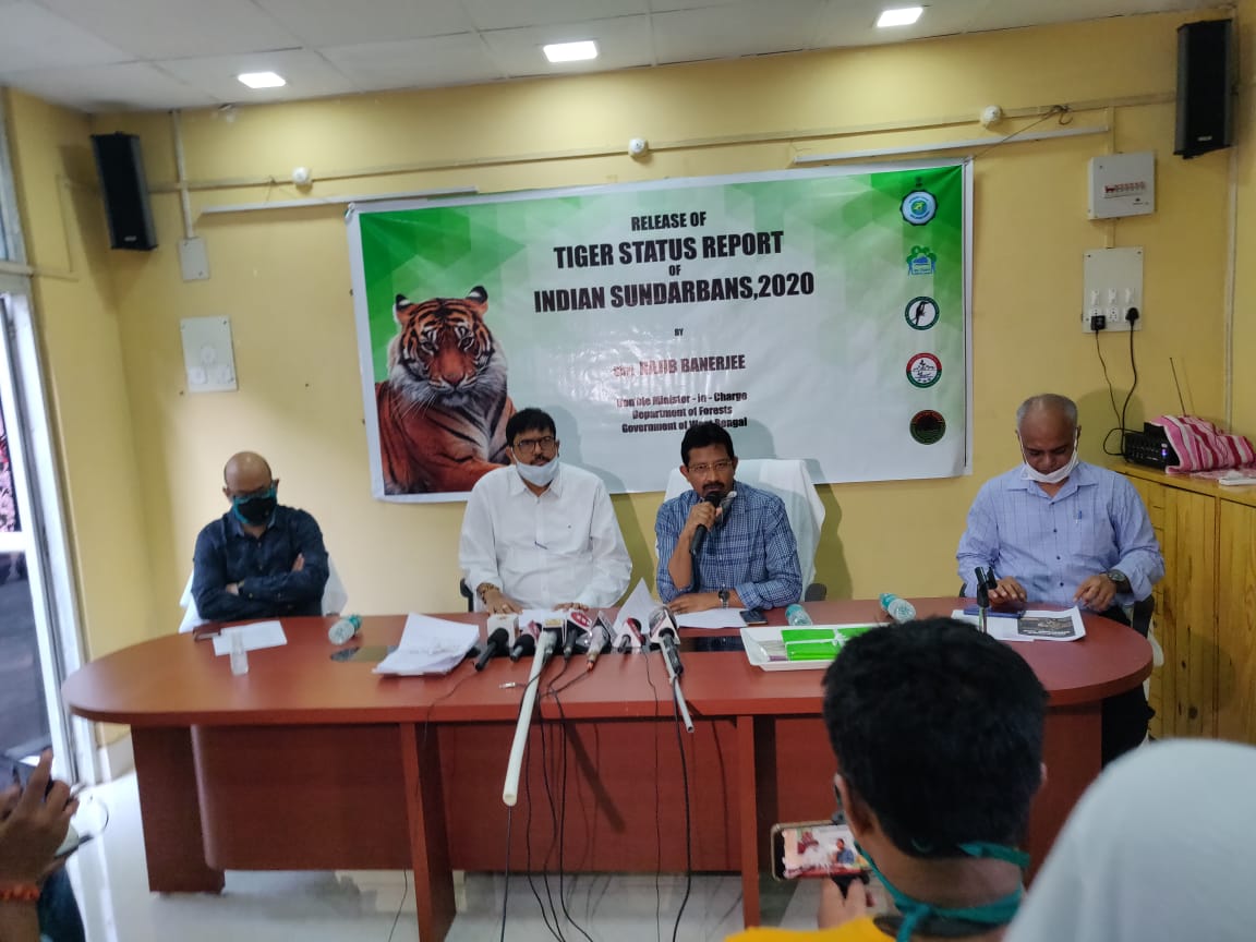 mediawbfd's tweet photo. Demography of Tiger individuals captured in Sundarban Tiger Reserve (2016-17 to 2019-20) - 96! https://t.co/9hV7ATf5B7