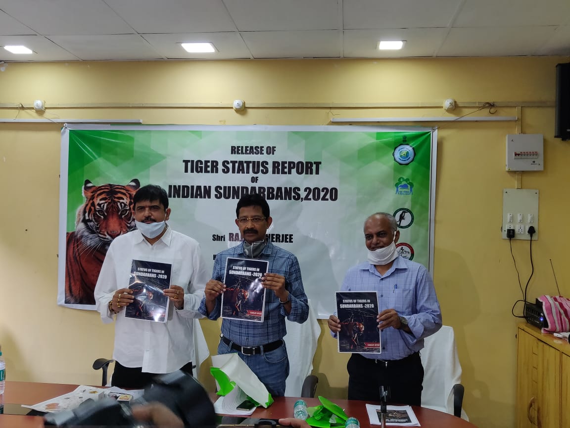 mediawbfd's tweet photo. Demography of Tiger individuals captured in Sundarban Tiger Reserve (2016-17 to 2019-20) - 96! https://t.co/9hV7ATf5B7