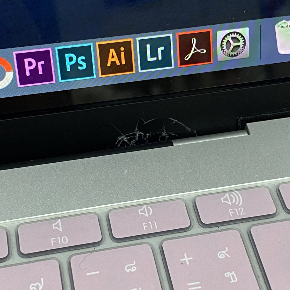 🪿⊹ ࣪ ˖ ลตฟส. ⋆୨୧˚ tweet media