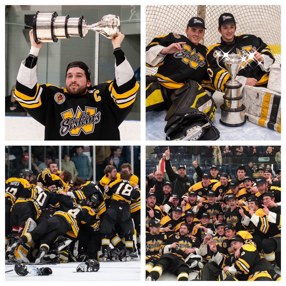 Waterloo Siskins tweet media